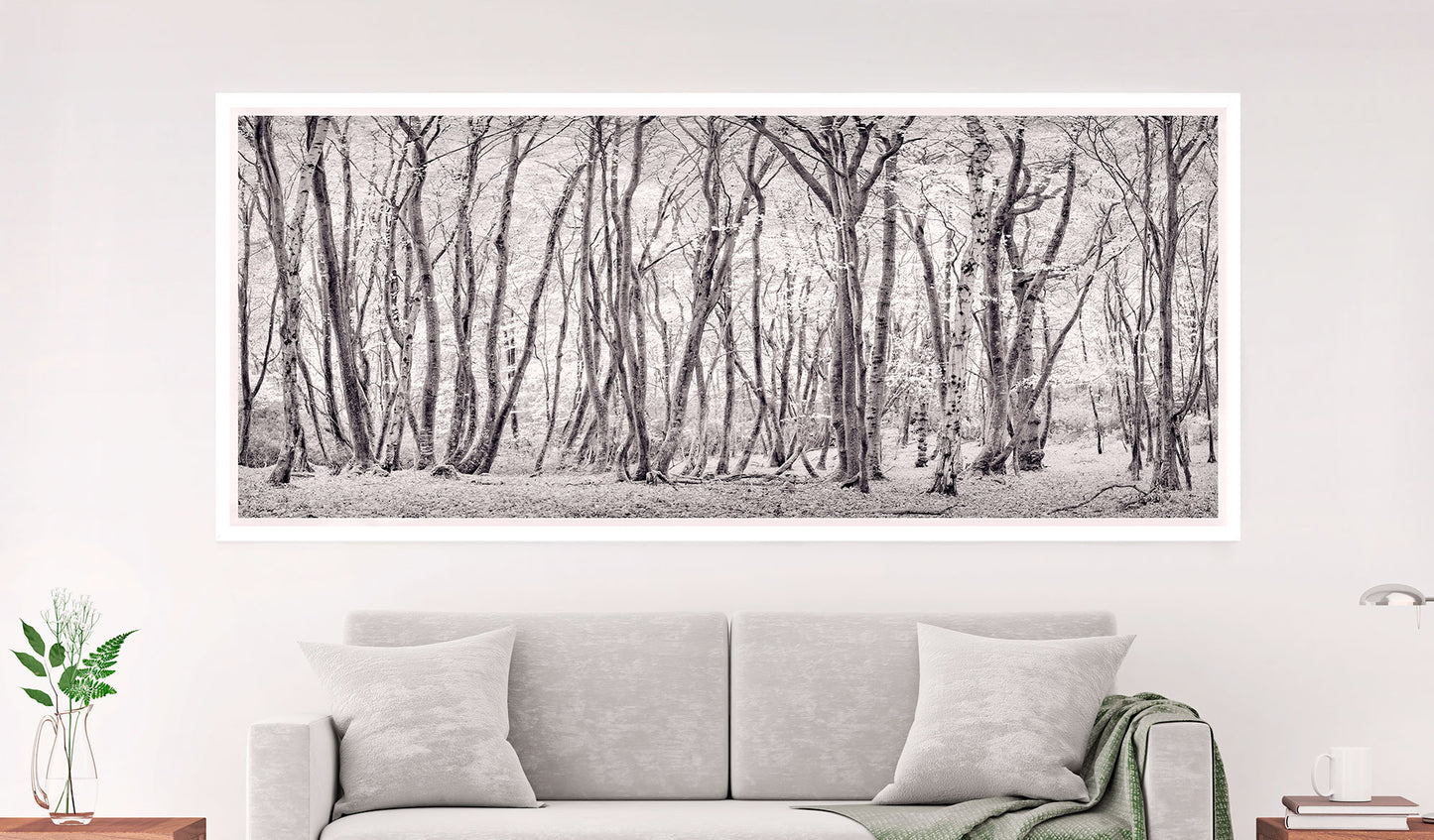Autumn Copse, Dorset