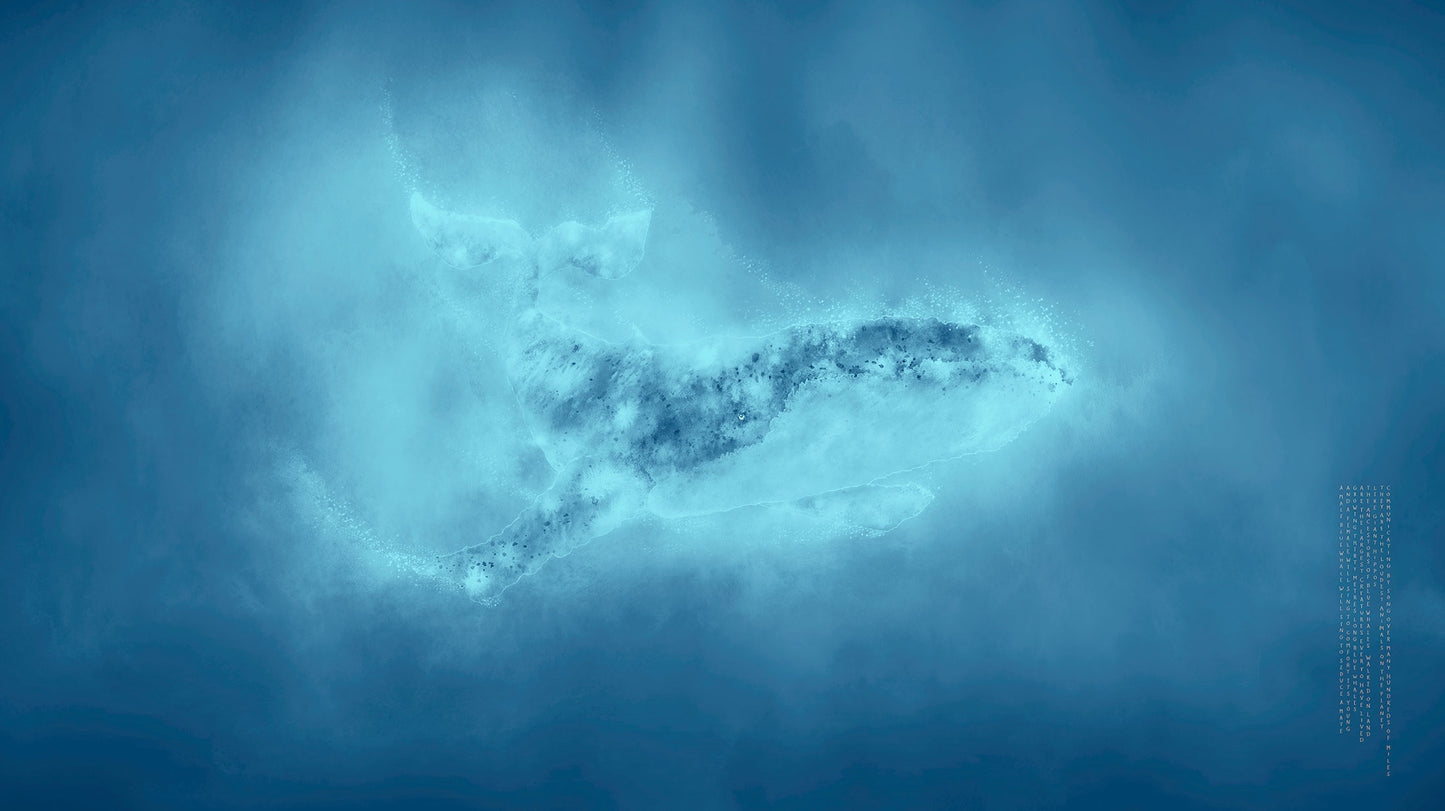 The Blue Whale