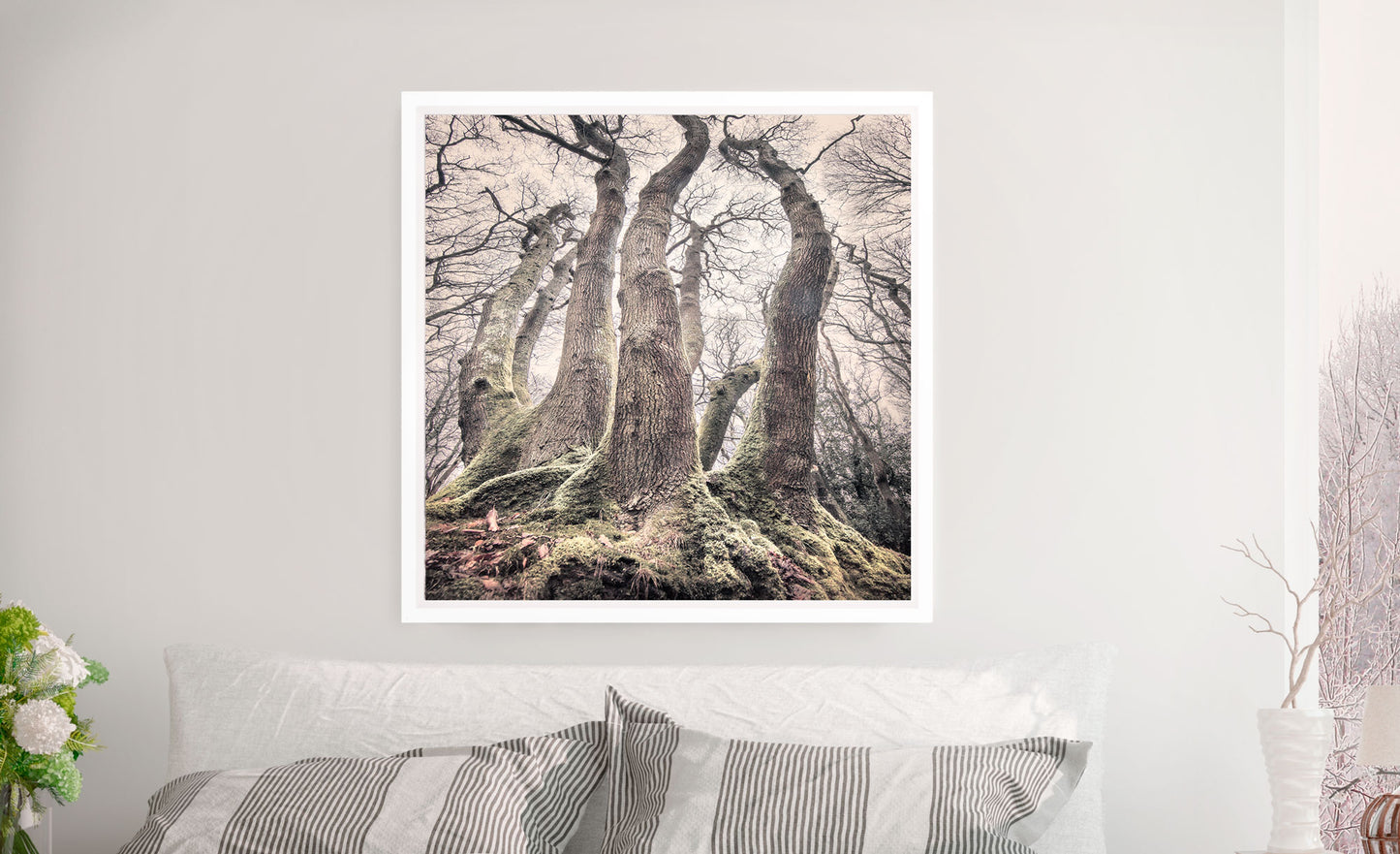 Borthwood Copse