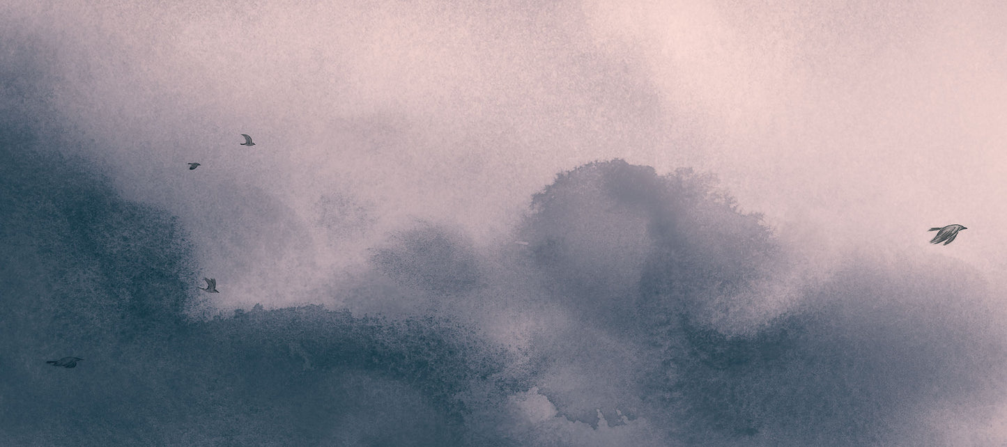 Detail from 14 Jackdaws