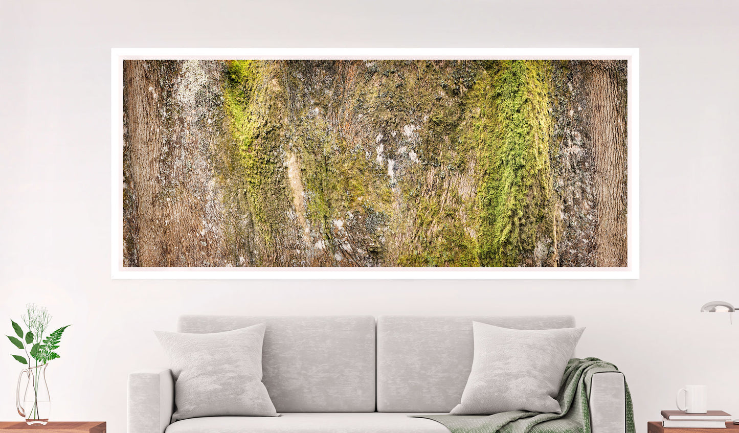 Oak Bark With Moss
