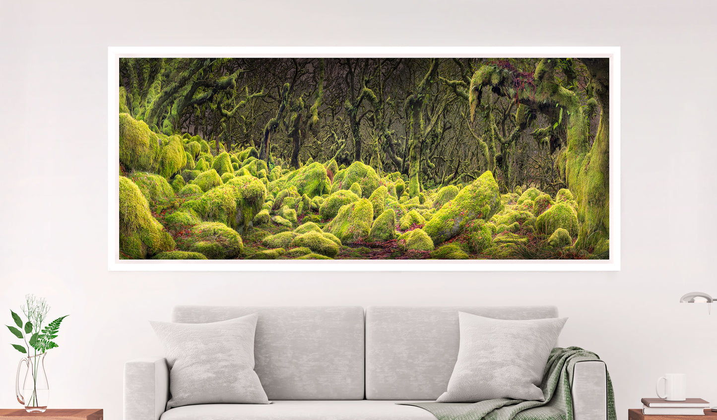 Wistman's Woods, Dartmoor