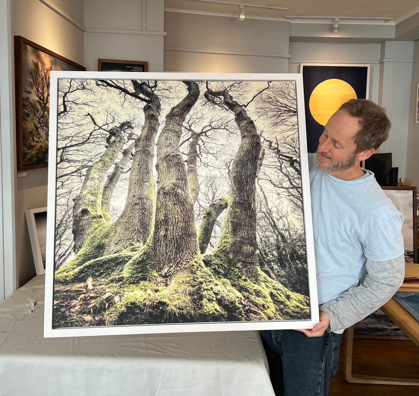 Borthwood Copse, Isle of Wight