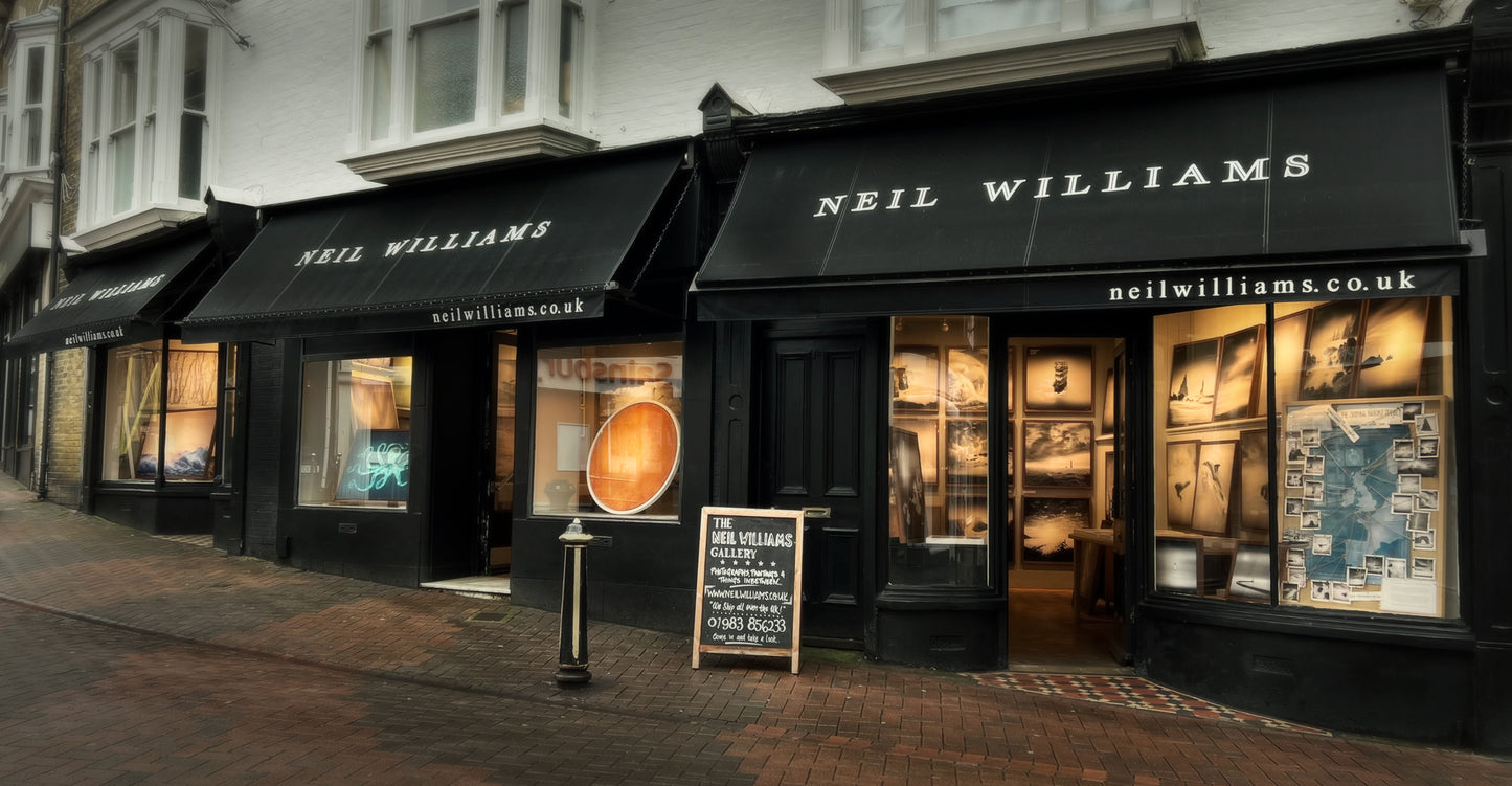 Gift Card for Neil Williams Gallery