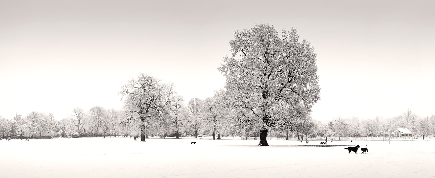 Dulwich Park in the snow